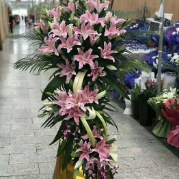 开业花蓝